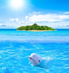 Gigantografia autoadesiva esclusiva "Isola del delfino"