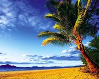 Gigantografia "Spiaggia tropicale"