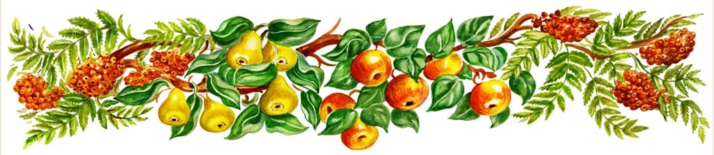 Adesivo decorativo esclusivo "Ghirlanda con la frutta"
