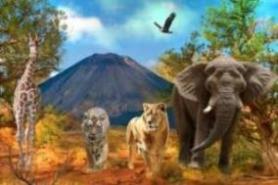 Gigantografia esclusiva "Safari"