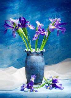 Gigantografia esclusiva "Dipinto vaso con iris"