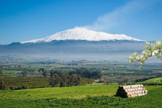 Gigantografia esclusiva "Etna"