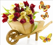 Adesivo decorativo esclusivo "Carellino con tulipani"