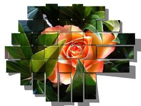 Adesivo decorativo esclusivo "Rosa in stile mosaico"
