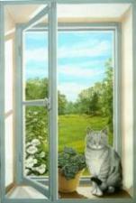 Gigantografia esclusiva "Finestra trompe l'oeil con gatto"