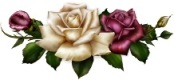 Sticker autoadesivo esclusivo "Le rose"