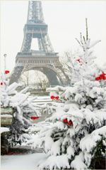 Gigantografia esclusiva "Parigi invernale"