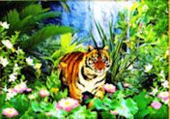 Gigantografia "La Tigre 3 "