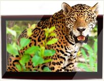Adesivo decorativo esclusivo "Leopardo"