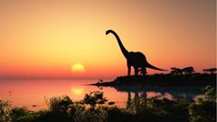 Gigantografia esclusiva adesiva "Dinosauro al tramonto"