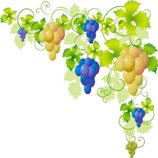 Adesivo decorativo esclusivo "Grappoli d'uva"