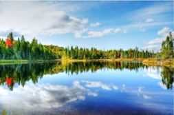 Gigantografia esclusiva "Autunno"