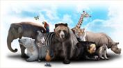 Sticker autoadesivo esclusivo "Il mondo di animali"