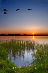 Gigantografia adesiva esclusiva "Tramonto al lago"