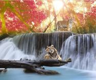 Gigantografia esclusiva "Cascata con  le tigre"