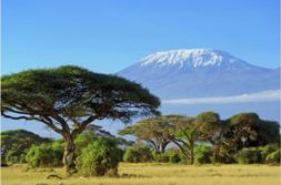 Gigantografia esclusiva "Kilimangiaro"