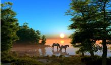 Gigantografia autoadesiva "Cavalli al tramonto"