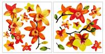 Orchidee Gialle